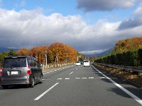 まだまだ紅葉