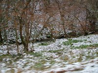雪です！