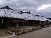 IMG 7476