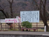 IMG 7516