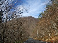 冬木立が綺麗