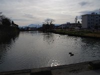 餌に釣られて