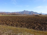 温かい日差しを受けて