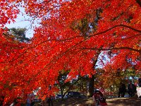 IMG 6783