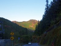 IMG 6917