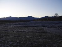 IMG 7003