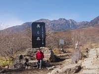 IMG 7088
