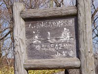 IMG 7093