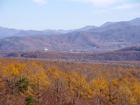 IMG 7099