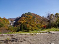 ダム堰堤の紅葉