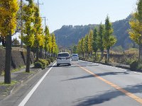 外科医は紅葉真っ盛り