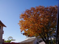 IMG 7167