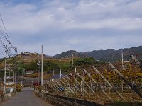 象徴；ぶどうの丘