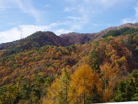 峠道は紅葉真っ盛り
