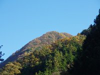IMG 7256