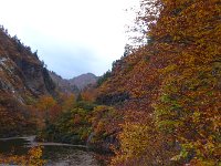 DSC04367