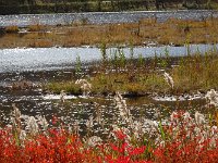 DSC04380