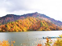 一条の光が・・・