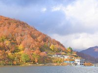 DSC 0124