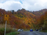 一寸、紅葉が