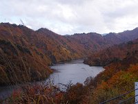こんな景色が続きます