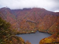 IMG 6375