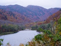 只見川流入部