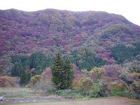 湯野上温泉の朝