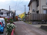 温泉街？