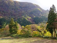 朝日を浴びて