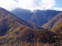三段紅葉だ！