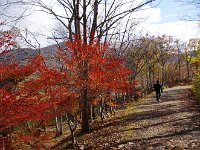 この当りは、初冬の感