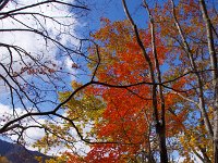 IMG 6519