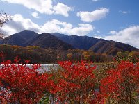 これ以降が見どころ！
