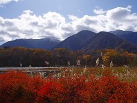 イイね