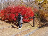 最近出来た？