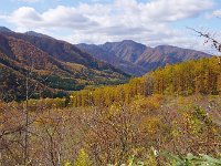 IMG 6584