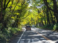 まるで、春？