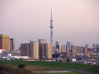 明るい内に見るスカイツリー