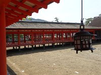 DSC03771