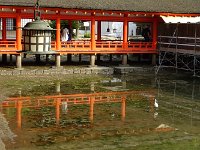 鷺が一羽