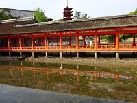 水面に綺麗な影が・・