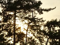 當に夕べ
