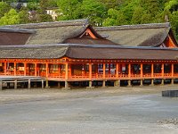 夕日を受けて