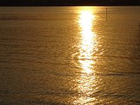 DSC03865