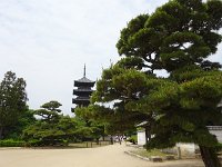 DSC03907