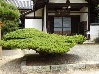 DSC03911