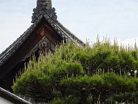 DSC03919