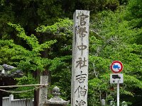 DSC03939