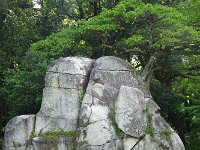DSC03974